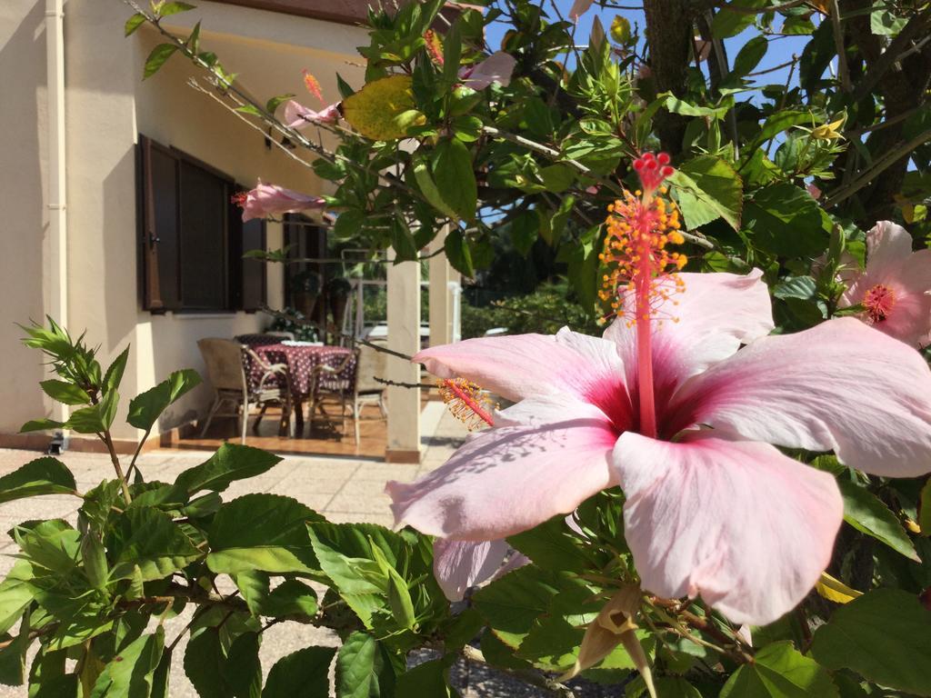 Villa Ro Porto Columbu - Perd'E Sali Екстериор снимка