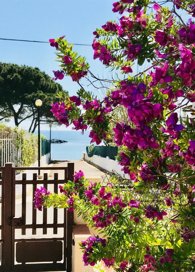 Villa Ro Porto Columbu - Perd'E Sali Екстериор снимка